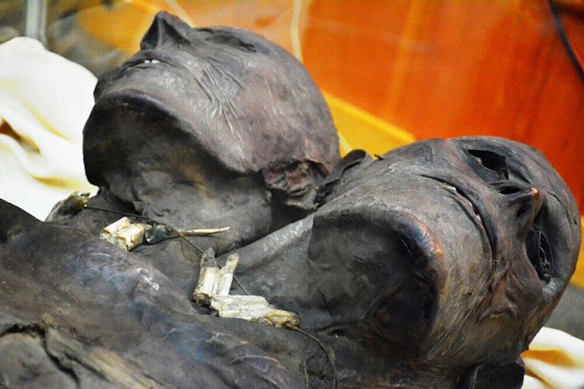 Kap Dwa: Mumia misterioasă a unui gigant cu două capete
